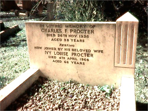 procter and fey grave