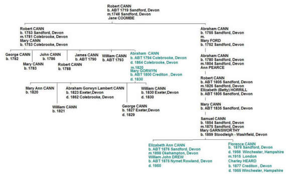 Cann tree