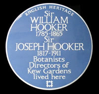 blue wall plaque